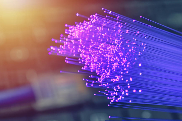 Fiber optics in magenta, close up with ethernet and keyboard background, warm lens flare - Photo, Image