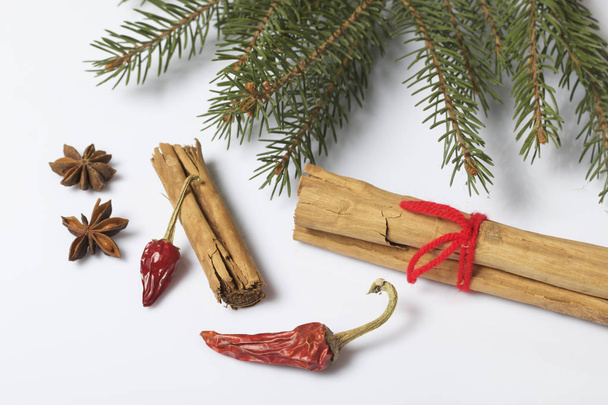 Cinnamon sticks and pods of red pepper next to the fir branches. On a white background. - Фото, зображення