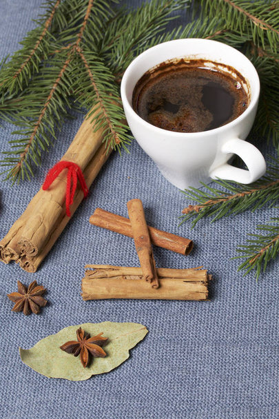 Cinnamon sticks and pods of red pepper next to the fir branches. On a woven background. - Photo, Image