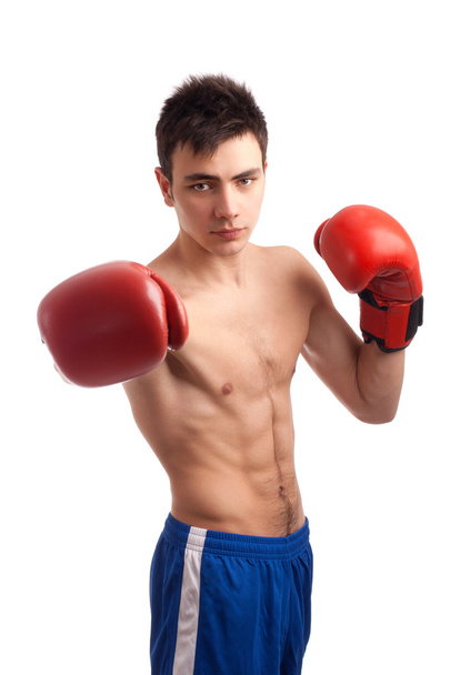 Portrait of boxer - Valokuva, kuva