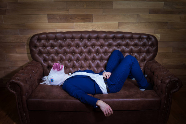 Funny unicorn in elegant suit lies on sofa - Photo, image