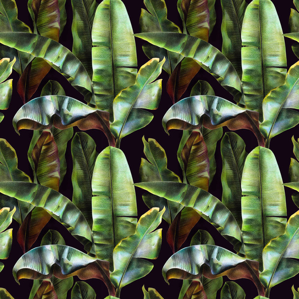 Modello senza cuciture con foglie di banana su uno sfondo scuro. Sfondo tropicale per tessuti, sfondi, tessuti. Illustrazione con matite colorate
. - Foto, immagini