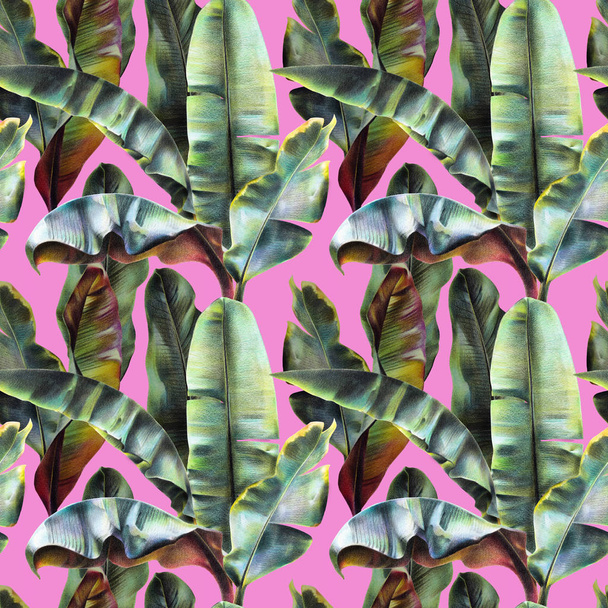 Patrón sin costuras con hojas de plátano sobre un fondo rosa. Fondo tropical en estilo pop art para telas, fondos de pantalla, textiles. Ilustración con lápices de colores
. - Foto, imagen