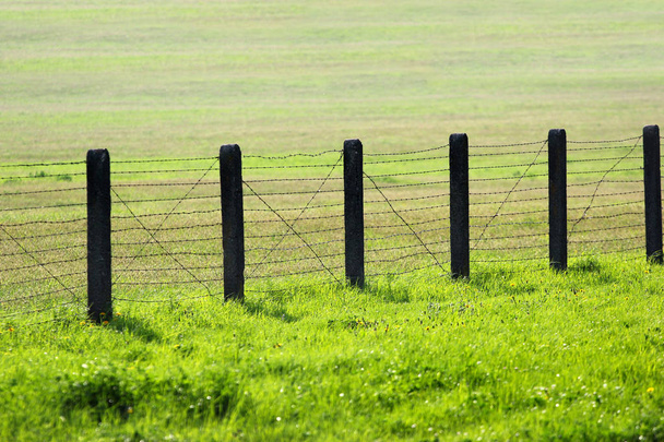 Колючий дріт паркан на зеленій траві
 - Фото, зображення