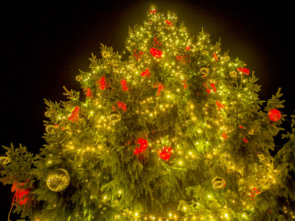 Χριστουγεννιάτικο δέντρο στην πλατεία μια πόλης - Φωτογραφία, εικόνα
