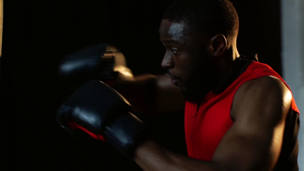 Afryki amerykański bokser treningu na siłowni w zwolnionym tempie - Materiał filmowy, wideo