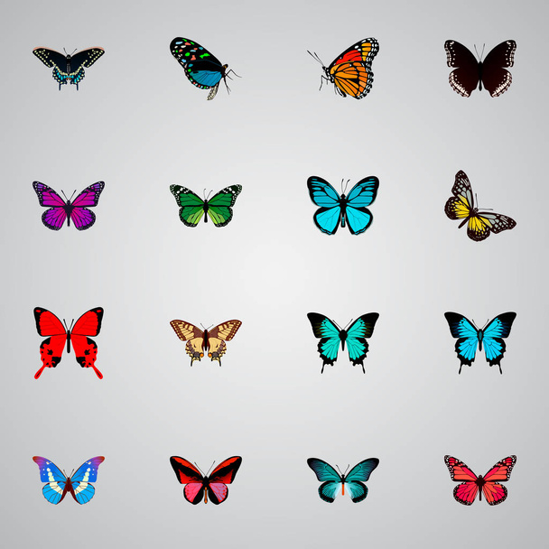Conjunto de símbolos realistas de belleza con spicebush, mariposa, rayas de pelo y otros iconos para el diseño del logotipo de su aplicación móvil web
. - Vector, Imagen