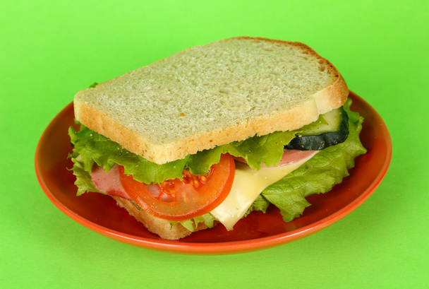 Sandwich on plate on green background - Photo, image
