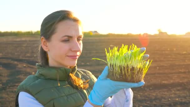 Female farmer examines a sample of seedlings before planting it in the soil - Кадри, відео