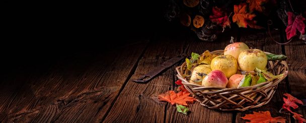 fresh and tasty organic apples in a basket - Фото, изображение