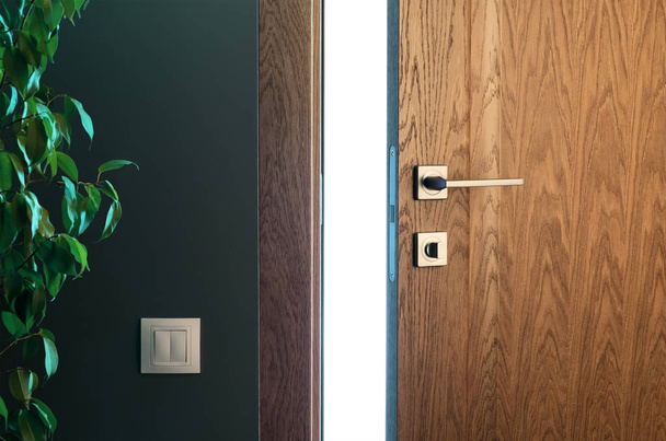 Light a door ajar. Wooden door in a beautiful interio - 写真・画像