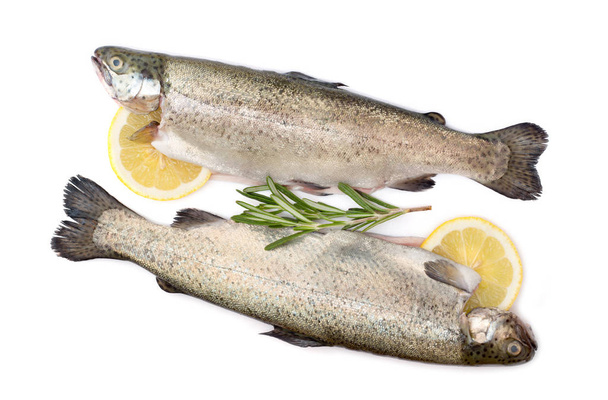 Πέστροφα ωμό ψάρι με λεμόνι και δενδρολίβανο που απομονώνονται σε λευκό φόντο - Φωτογραφία, εικόνα