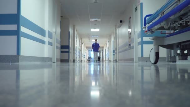 Жінка лікар, проходячи через довгий коридор - Кадри, відео