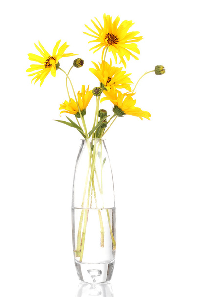 beautiful yellow flowers in vase isolated on white - Foto, afbeelding