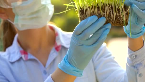 Γυναίκα επιστήμονας σε προστατευτικά δίοπτρα και μια μάσκα εξετάζει ενός δείγματος από χώμα και φυτά - Πλάνα, βίντεο