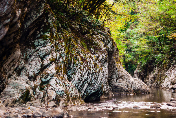 paisagem - um pequeno rio em um cânion de calcário em uma floresta tropical
 - Foto, Imagem