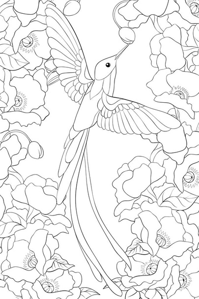 A cute hummingbird gather the flower pollen image for adults and children.Line art style illustration for relaxing activity.A coloring book,page for print.Poster design. - Vector, Imagen