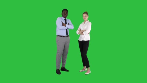 Kansainväliset liikemiehet seisoo taitettu kädet vihreällä näytöllä, Chroma Key
. - Materiaali, video