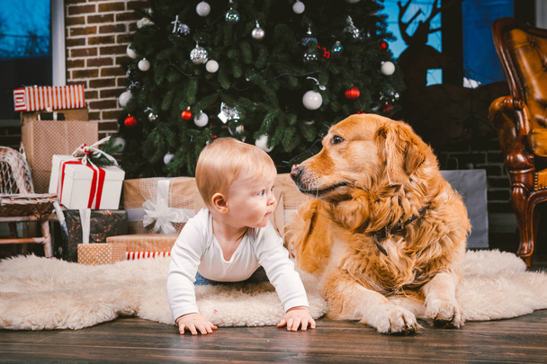 Friendship man child and dog pet. Theme Christmas New Year Winter Holidays. Baby boy on the floor decorated tree and best friend dog breed Labrador Golden Retriever. - Fotó, kép