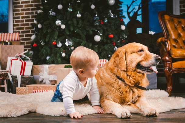 Friendship man child and dog pet. Theme Christmas New Year Winter Holidays. Baby boy on the floor decorated tree and best friend dog breed Labrador Golden Retriever. - Foto, afbeelding