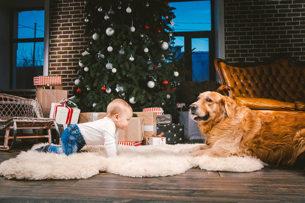 Φιλία άνθρωπος παιδί και σκύλος κατοικίδιο ζώο. Θέμα Χριστούγεννα Πρωτοχρονιά χειμερινές διακοπές. Αγοράκι στο πάτωμα διακοσμημένο δέντρο και καλύτερο φίλο σκύλο φυλής Λαμπραντόρ Ριτρίβερ. - Φωτογραφία, εικόνα
