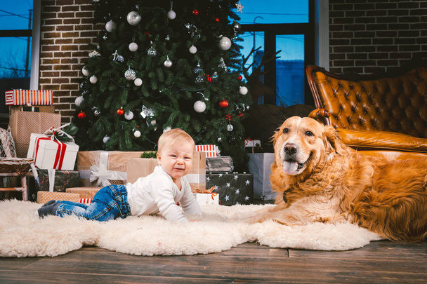 Friendship man child and dog pet. Theme Christmas New Year Winter Holidays. Baby boy on the floor decorated tree and best friend dog breed Labrador Golden Retriever. - Foto, Imagen