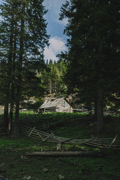luonnonkaunis näkymä kuuluisa Dovbushanka vuori Jaremche, Karpaatti, Ukraina
 - Valokuva, kuva