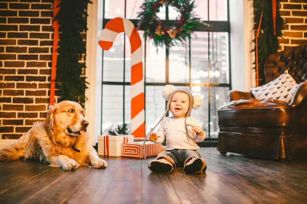 Friendship man child and dog pet. Theme Christmas New Year Winter Holidays. Baby boy crawling learns walk wooden floor decorated interior of house and best friend dog breed Labrador golden retriever. - Φωτογραφία, εικόνα