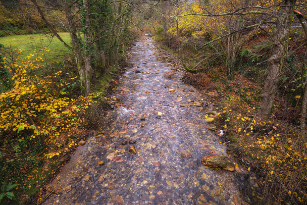Řeka ve městě Somiedo přírodní park, Asturias, Španělsko. - Fotografie, Obrázek