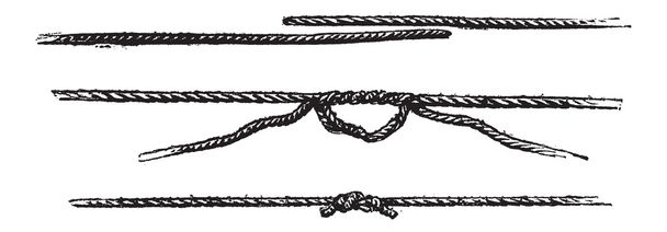 Fisherman's Knot, vintage engraving - Vector, Image
