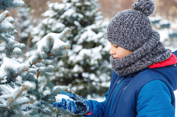 roztomilý mladý chlapec v modrém saku si hraje s sněhem, má zábavu, úsměvy. Dospívající se dívá na modré jedle s brunces sněhem v zimě parku. Aktivní životní styl, zimní aktivity, zimní venkovní hry - Fotografie, Obrázek