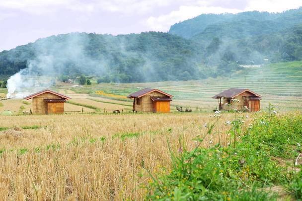 Nahaufnahme Grasblumenfront und verschwommenes Häuschen auf der Reisterrasse im Dorf mae klang luang, doi inthanon, chiangmai, thailand - Foto, Bild