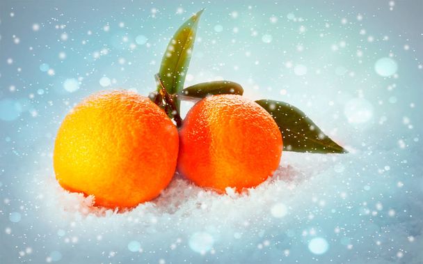 Oranges mandarines avec des feuilles sur fond de neige. Agrumes juste de l'arbre.Alimentation végétale biologique.Fruits d'hiver
 - Photo, image