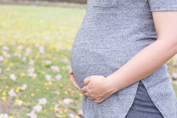 Mujer embarazada con las manos tocando su vientre
 - Foto, Imagen