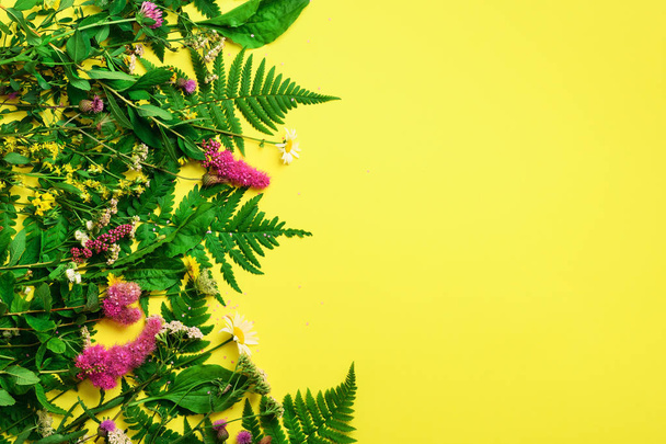 Wild summer flower on yellow background. Creative flat layout pattern with copy space, top view. Spring concept, Mother's Day holiday, March 8. Composition of flowers. Floral abstract frame - 写真・画像