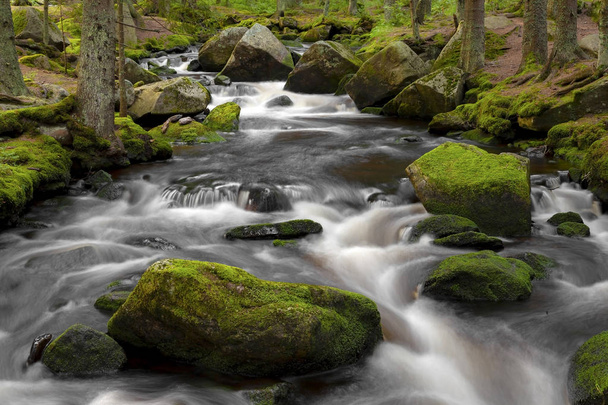 Mountain stream in the national park Sumava-Czech Republic - Photo, Image