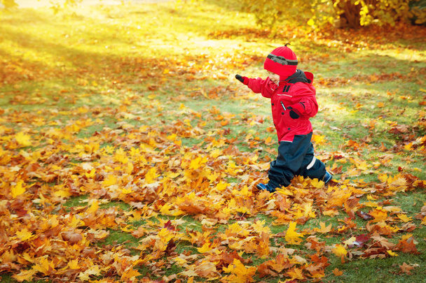 söpö lapsi käynnissä nurmikolla peitetty keltaisilla lehdillä. Poika pitää hauskaa ulkona syksyllä
 - Valokuva, kuva