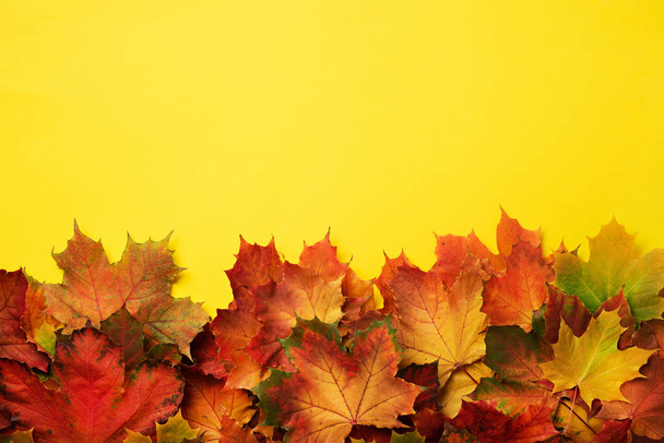Colorful autumn leaves on yellow background with copy space. Cozy fall mood. Season and weather concept. - Foto, afbeelding