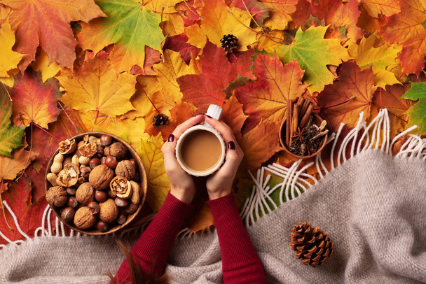 Female hands with cup of coffee, beige plaid, wooden bowl with nuts, cones, cinnamon over colorful maple leaves background. Top view. Season concept. Autumn flat lay. - Foto, Imagem