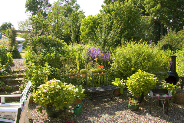 Dús kerti jelenet, zöld növények rengeteg - Fotó, kép