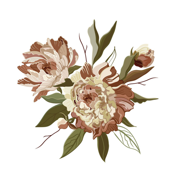 pale pink hand drawn peony flowers, sketch on white background - Vector, afbeelding