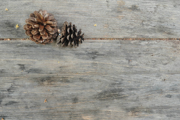 conos de pino en mesa
 - Foto, Imagen