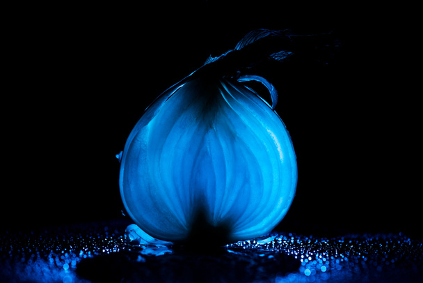 Scheibe rohe Zwiebel mit Wassertropfen und neonblauem Hintergrundlicht auf schwarzem Hintergrund - Foto, Bild