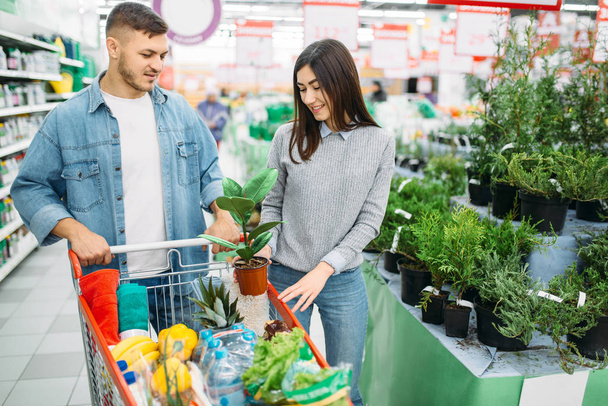 Couple avec panier dans le département des plantes et des fleurs supermarché, achats en famille. Clients en magasin, acheteurs sur le marché
 - Photo, image