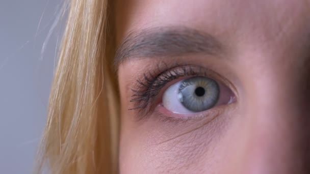 Close-up half portrait of woman right blue eye watching directly into camera and winking on gray background. - Video