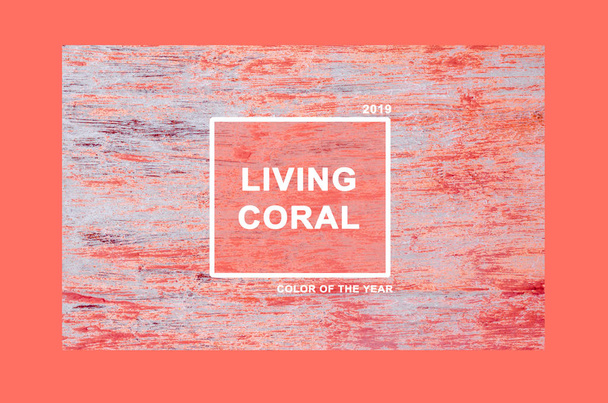  Living Coral Color Trendy Concept of the Year 2019  - Foto, imagen