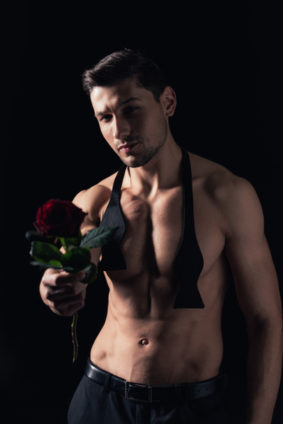 shirtless man looking at camera and holding red rose isolated on black - Фото, зображення