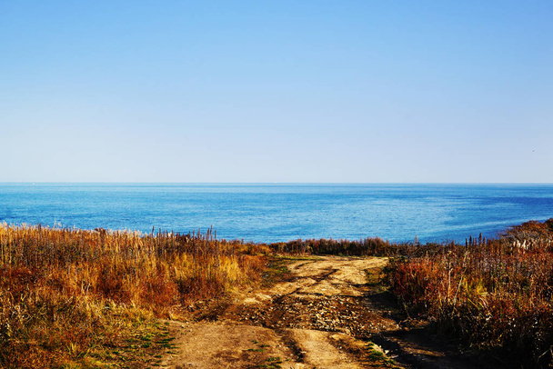 Landweg in het midden van een kruiden van wild veld tegenover het panorama van de zee. De weg eindigt bij de klif. Oost-Rusland, Primorski regio, Vladivostok  - Foto, afbeelding