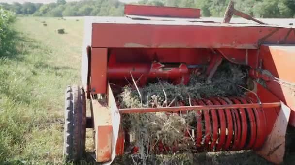 Suché trávy nebo slámu sklizeň mechanismus - Záběry, video