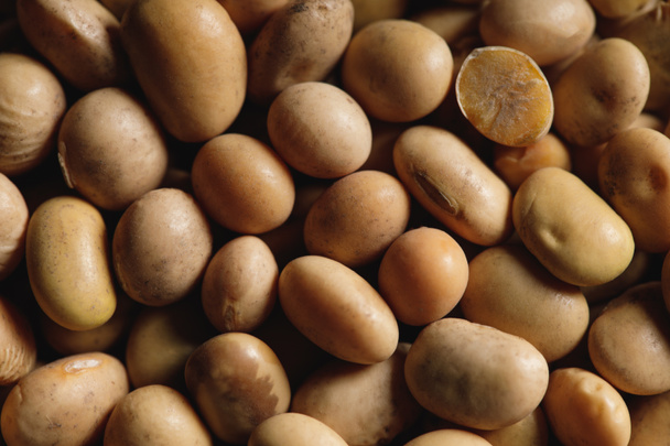 close up of soybean as textured background with copy space - Foto, Imagem
